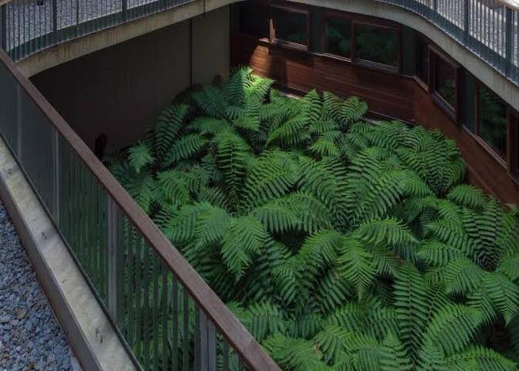Nishi Holiday Apartments كنبرا المظهر الخارجي الصورة